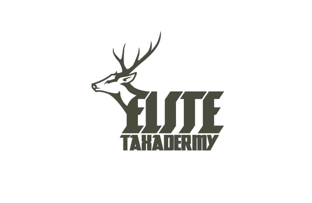 Elite Taxidermy Logo