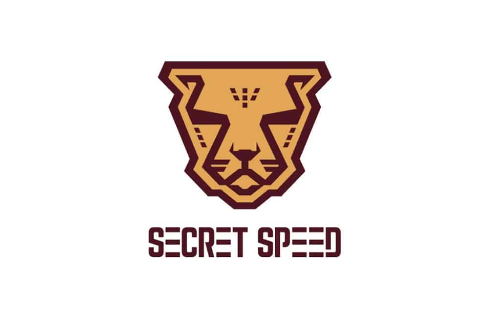 Secret Speed Unused Logo Design