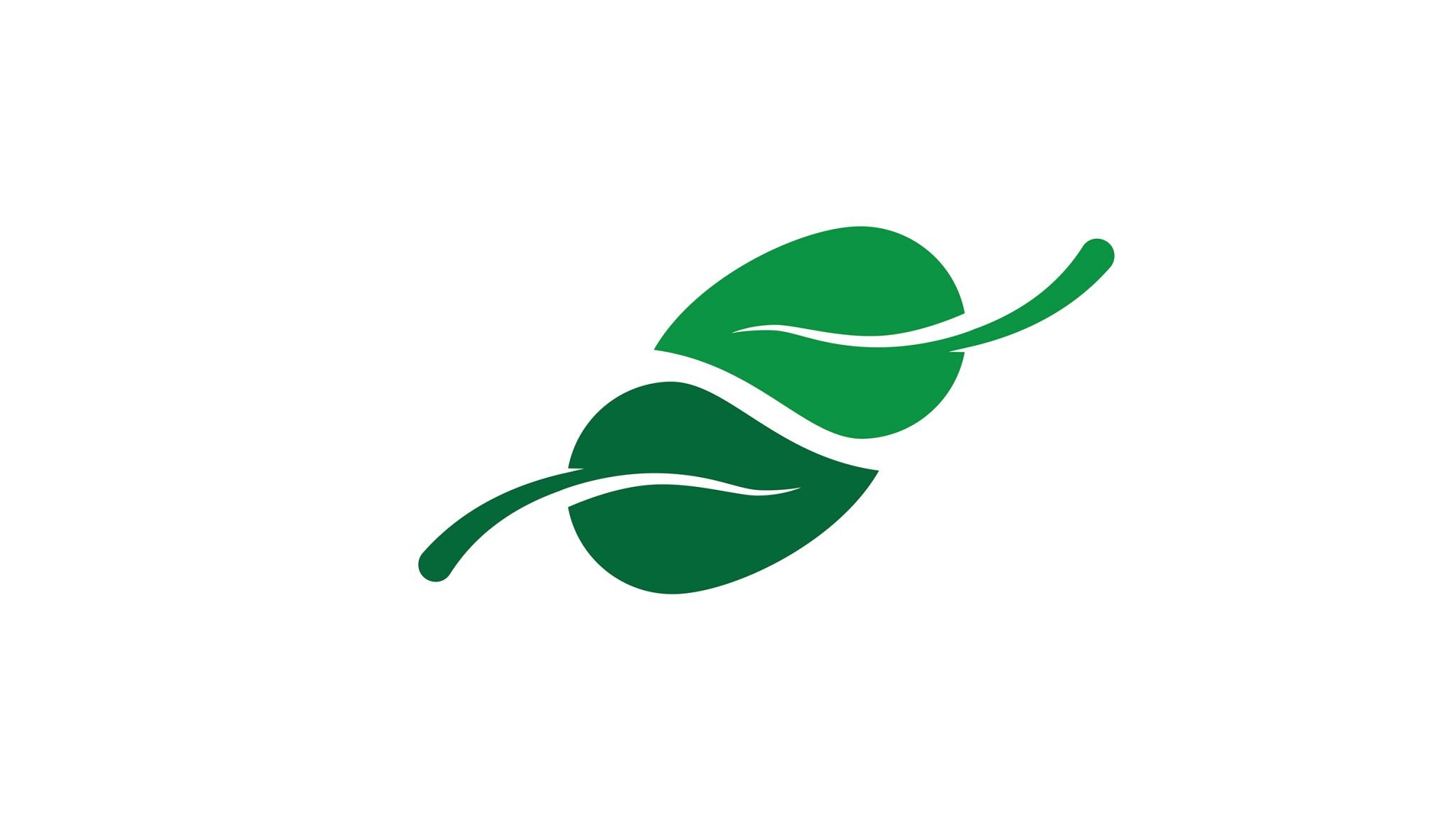 Green Dani B's Logo Icon